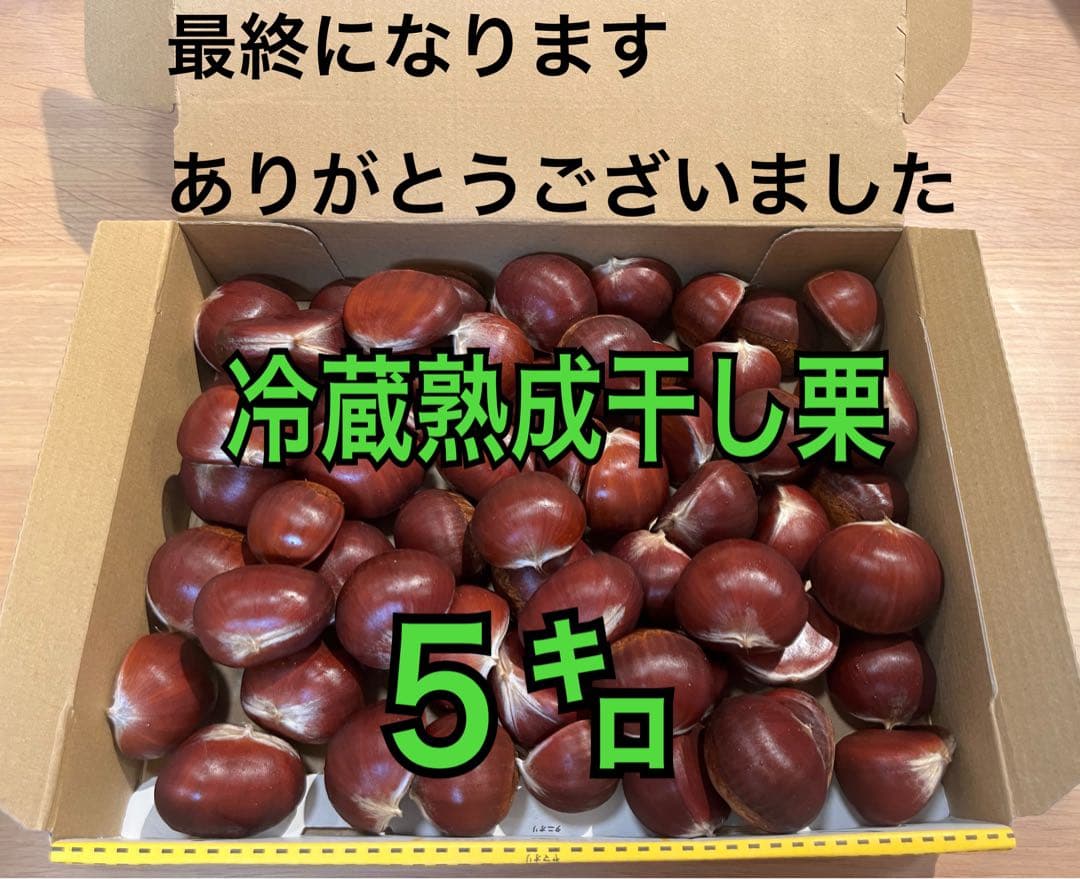 茨城県産　倉方甘栗　生栗　５㌔　冷蔵熟成干し栗
