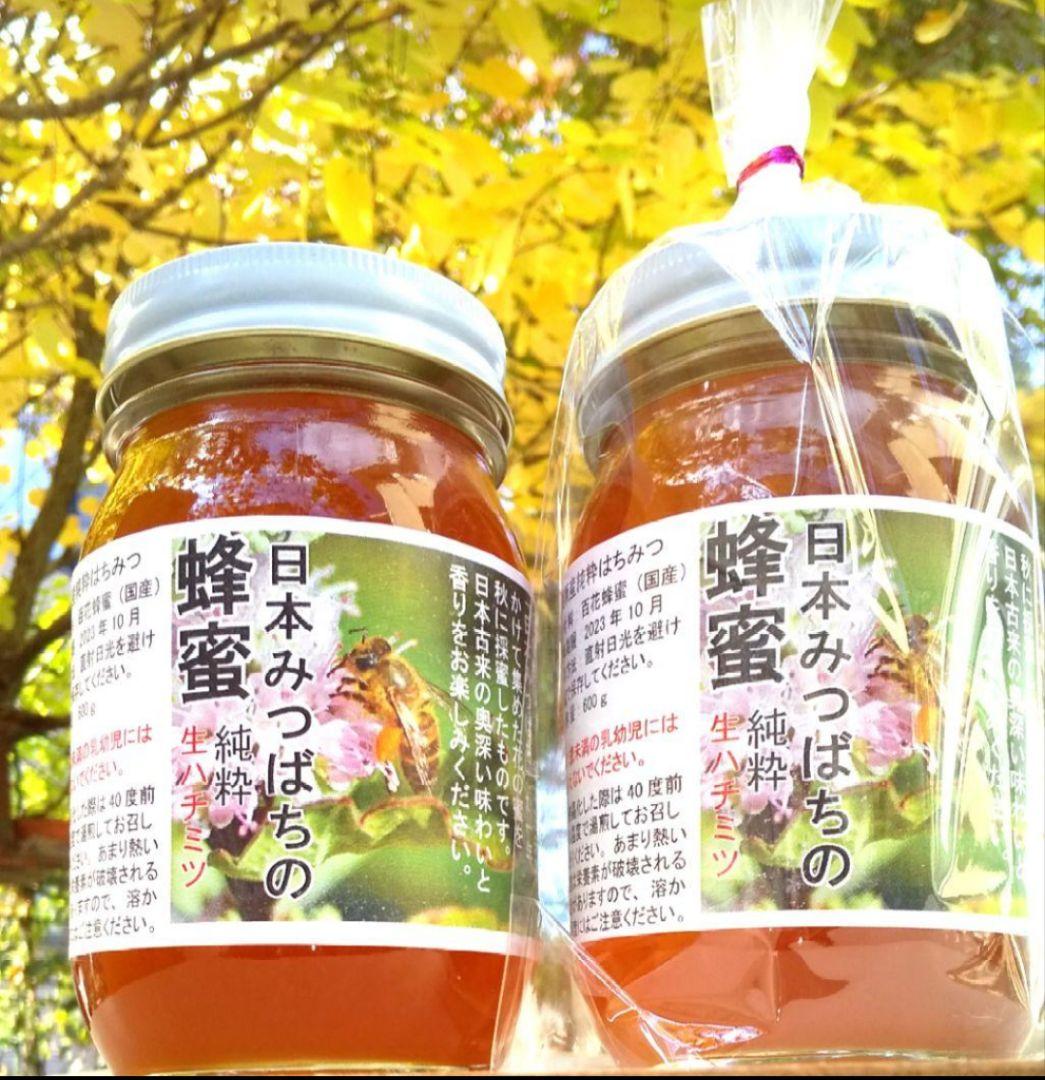 日本蜜蜂採りたて生蜂蜜(生巣蜜)368g＋蜂蜜600g×2本#6　　　　宮城県産
