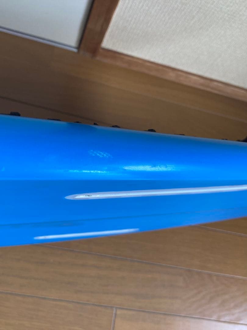 アルメリック　チャンネルアイランド　フィッシュベアード