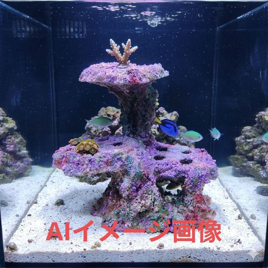 プラグ穴付き アク抜き不要人工ライブロック 海水水槽 レプリカ コーラルフラグ5
