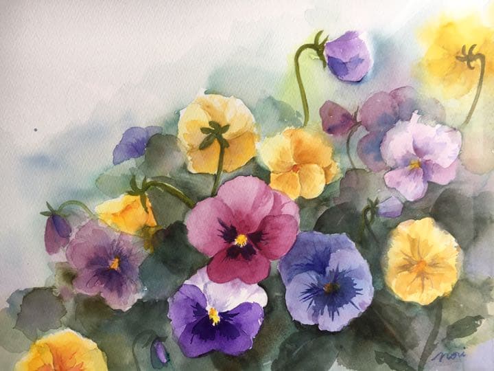 水彩画原画パンジー花の絵