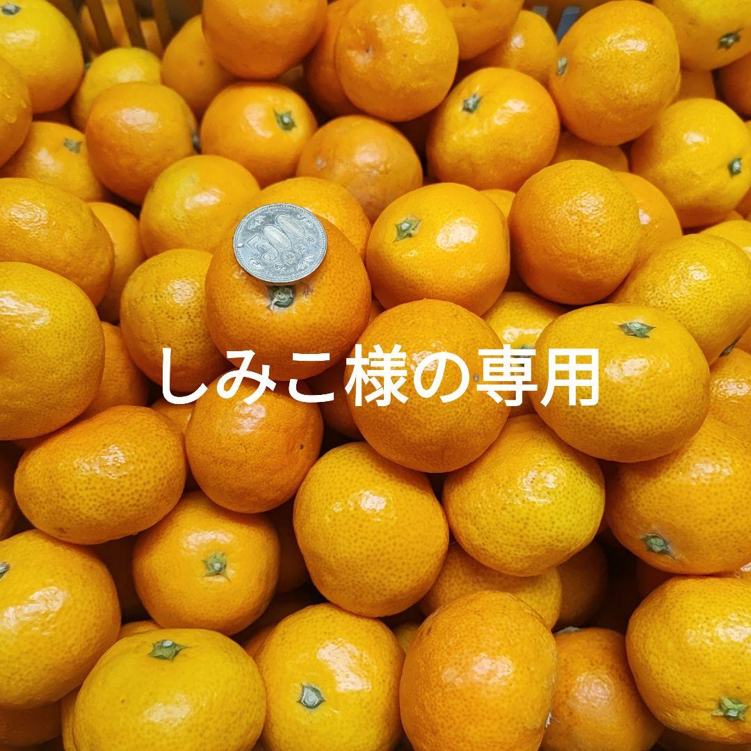 専用　和歌山　ゆら早生　みかん