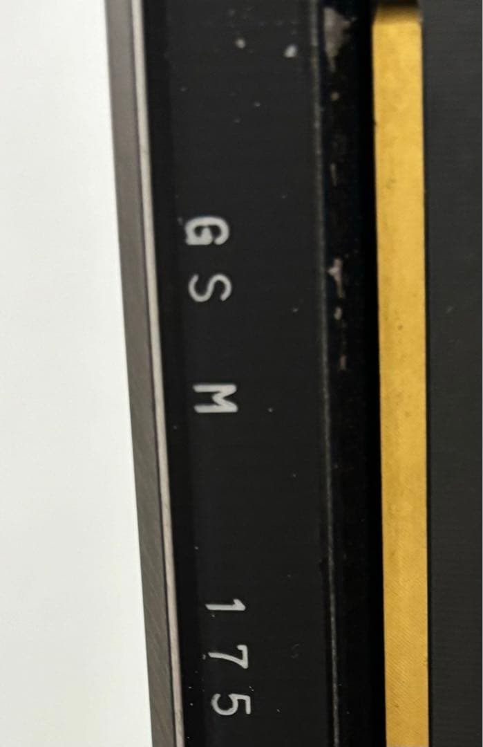 OGASAKA TRIUN GS-M 175㎝ チロリア　RACE EVO16