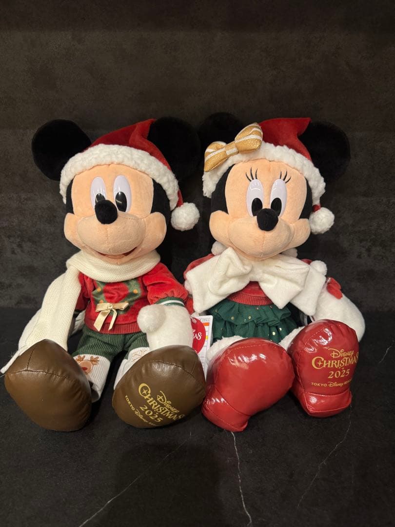 クリスマスディズニー2025ミッキーミニー ぬいぐるみ