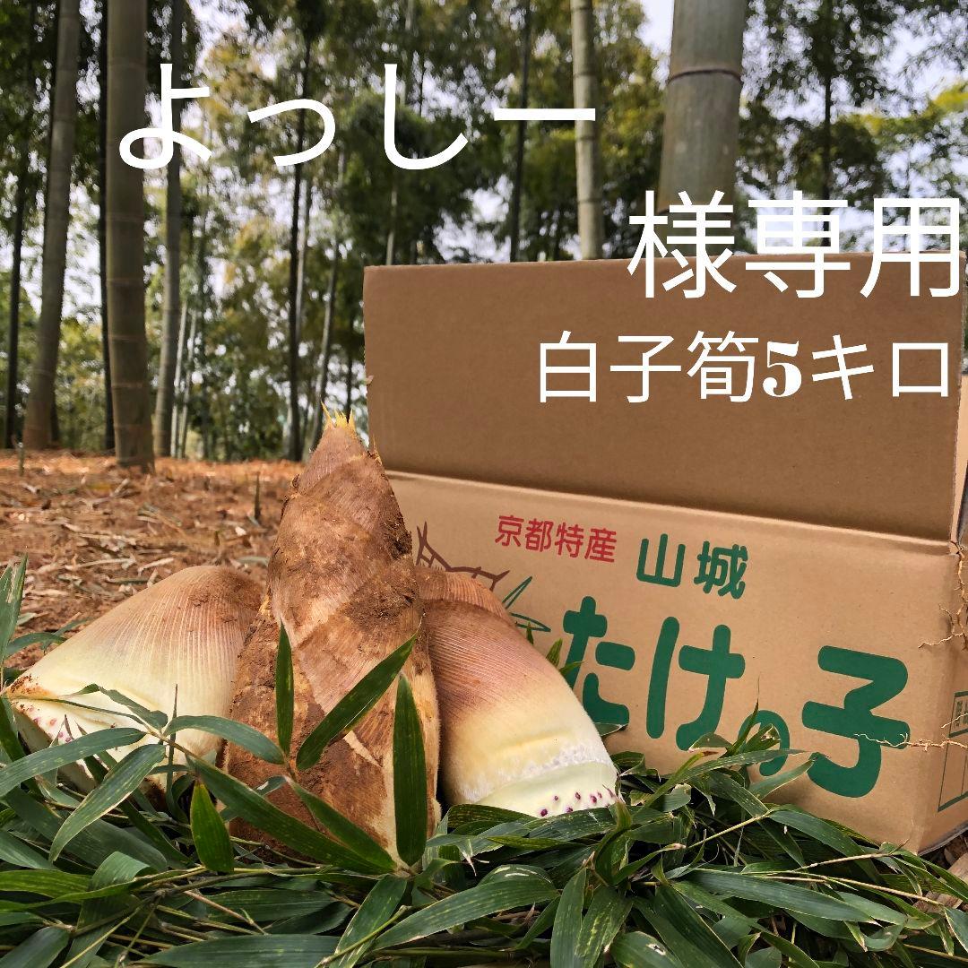 よっしー 白子筍 5キロ箱込み