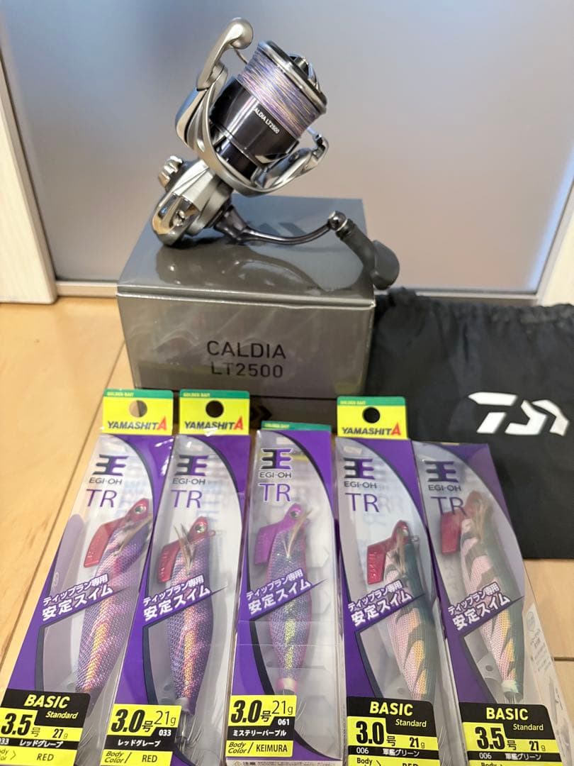 25カルディアLT2500 美品 ティップラン用エギ新品5本セット
