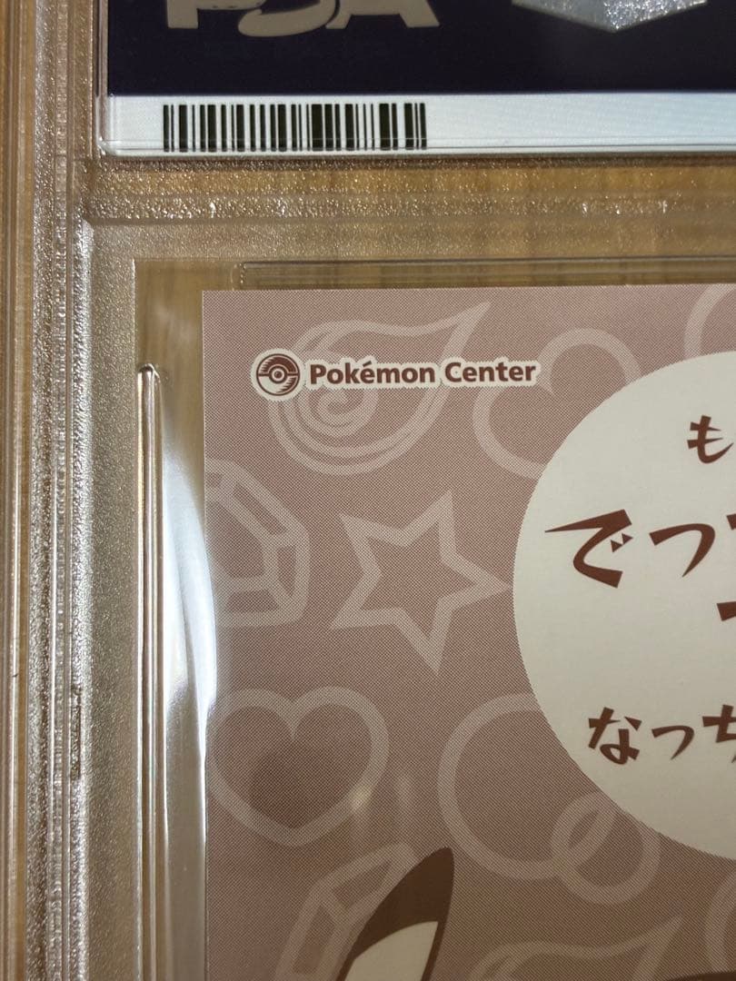 PSA10☆ポンチョを着たピカチュウ★名刺カード メガリザードン ポンチョ