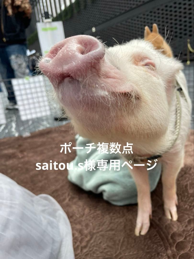 saitou.sページ