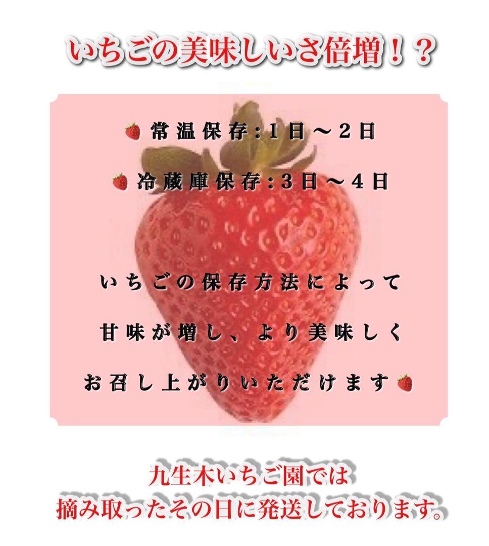A級品 とちあいか いちご 25パック分　三田村様