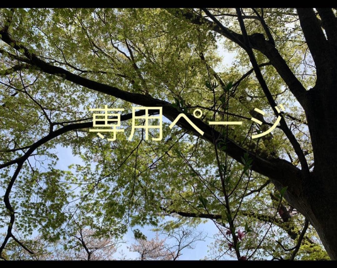 専用です
