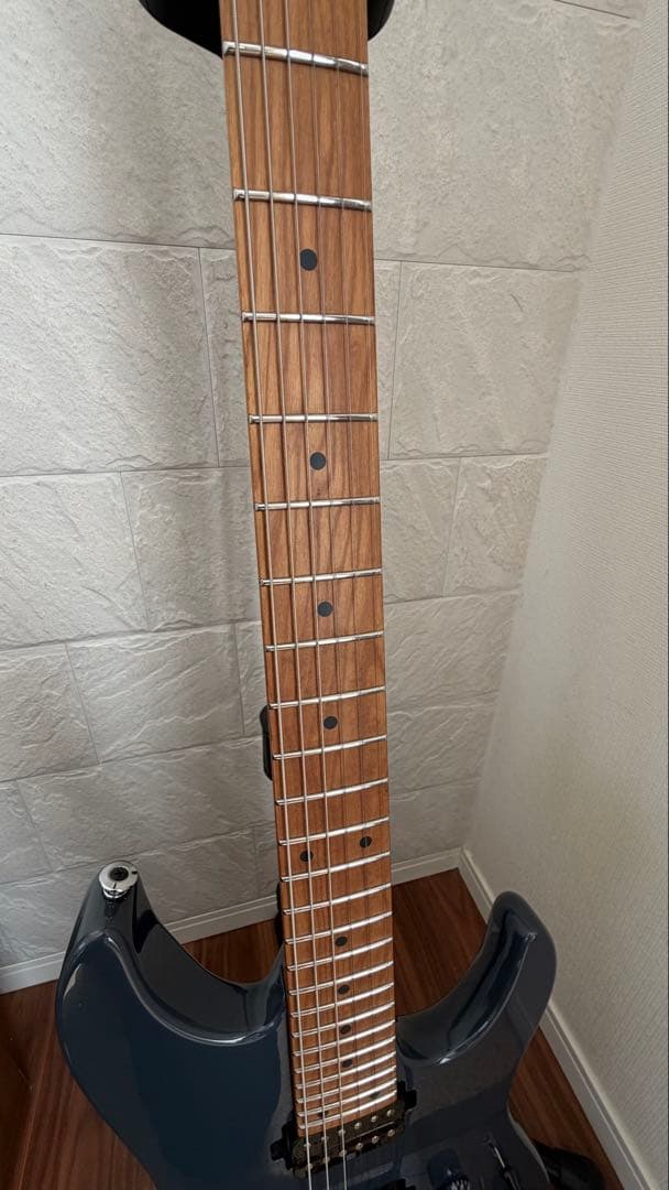 Ibanez AZ2402 2024年12月購入