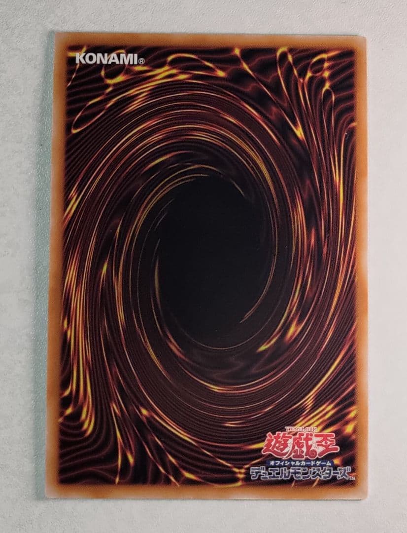 誇りと魂の龍　INFO-JP000