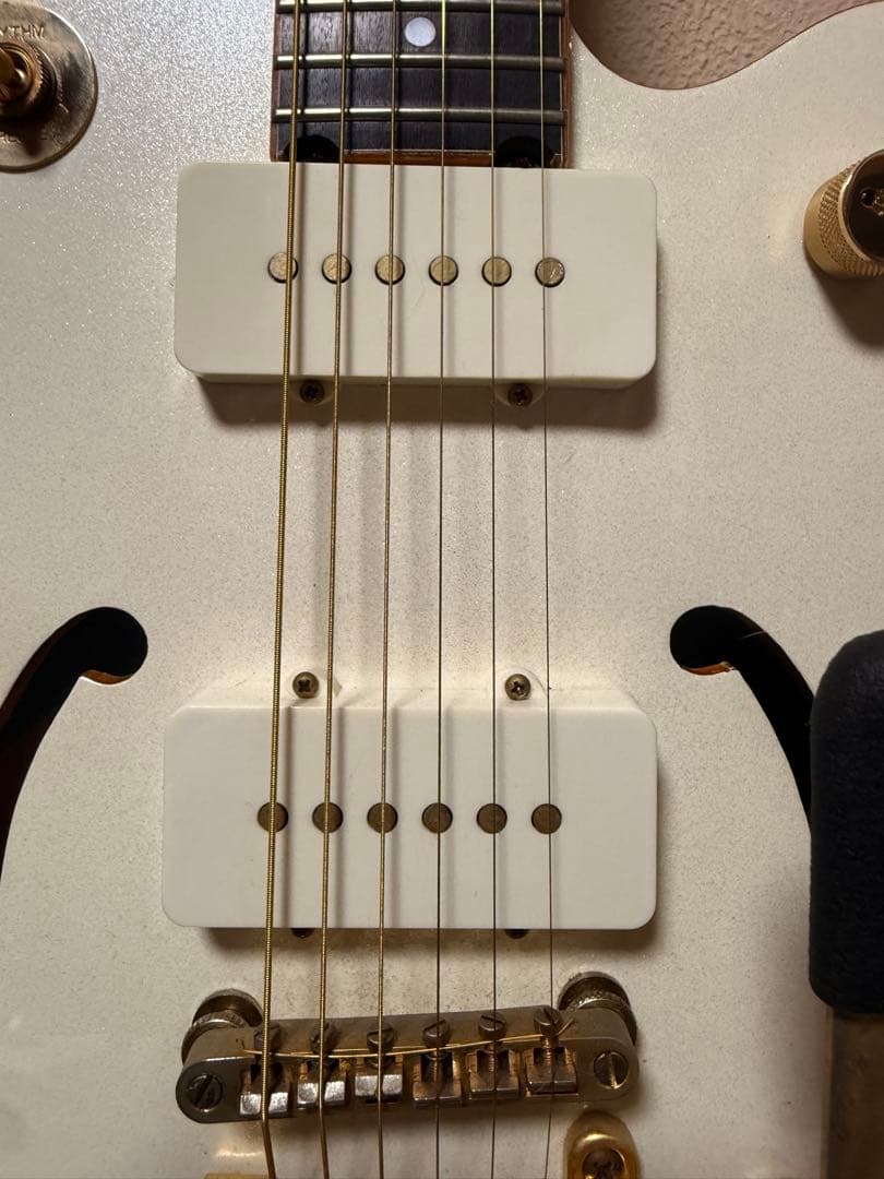 Epiphone Wildkat トンデモ改造品　ビザールギター