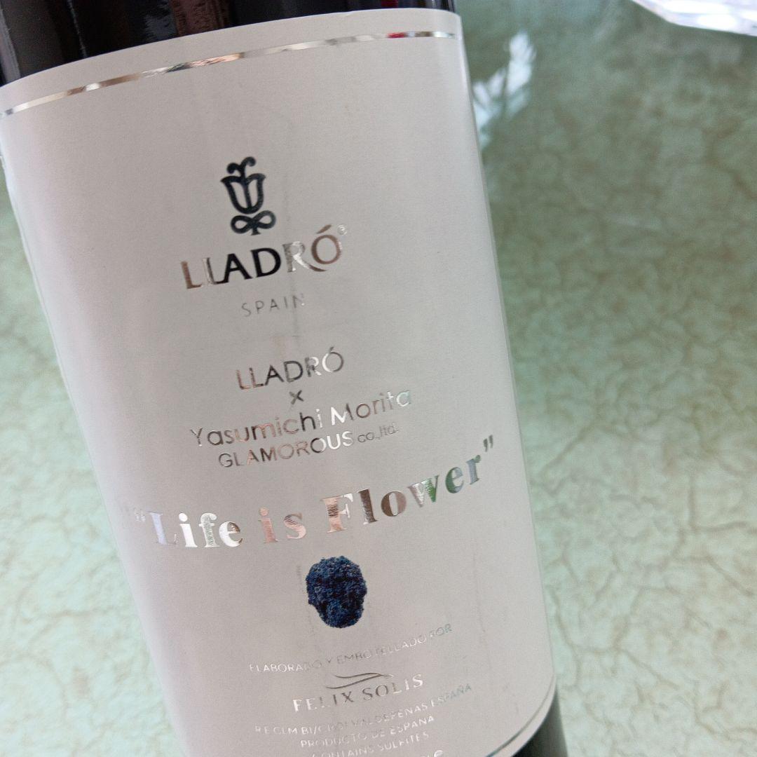 LLADRÓ Life is Flower リヤドロ　森田恭通　ワイン　激レア