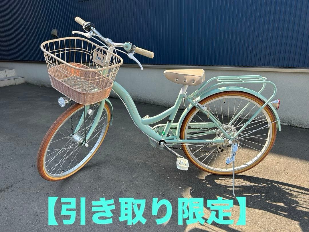 シティサイクル ミントグリーン 前カゴ付き24インチ子供用【引き取り限定】