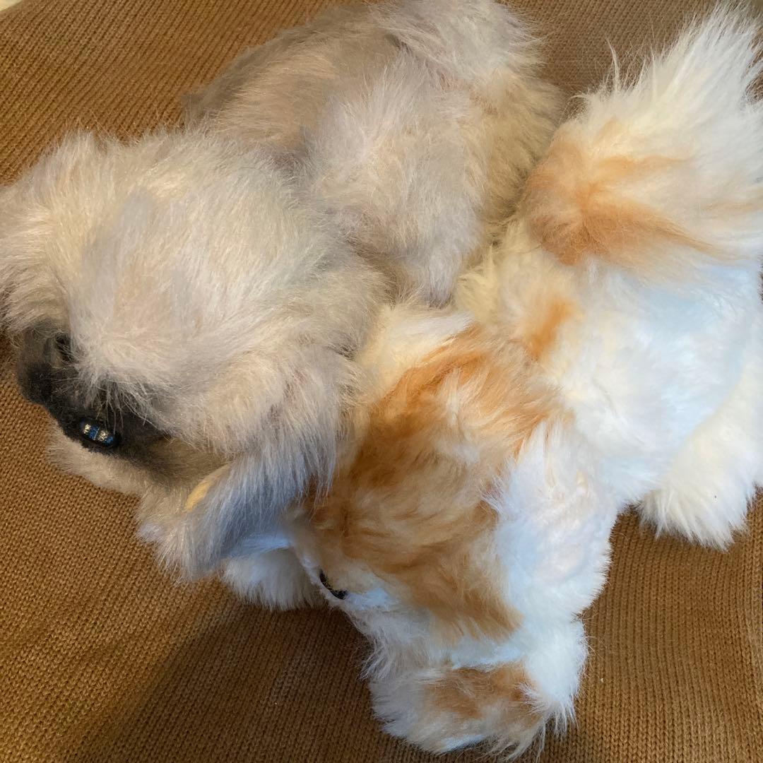 犬　リアル　ぬいぐるみ　2体セット　まとめ売り