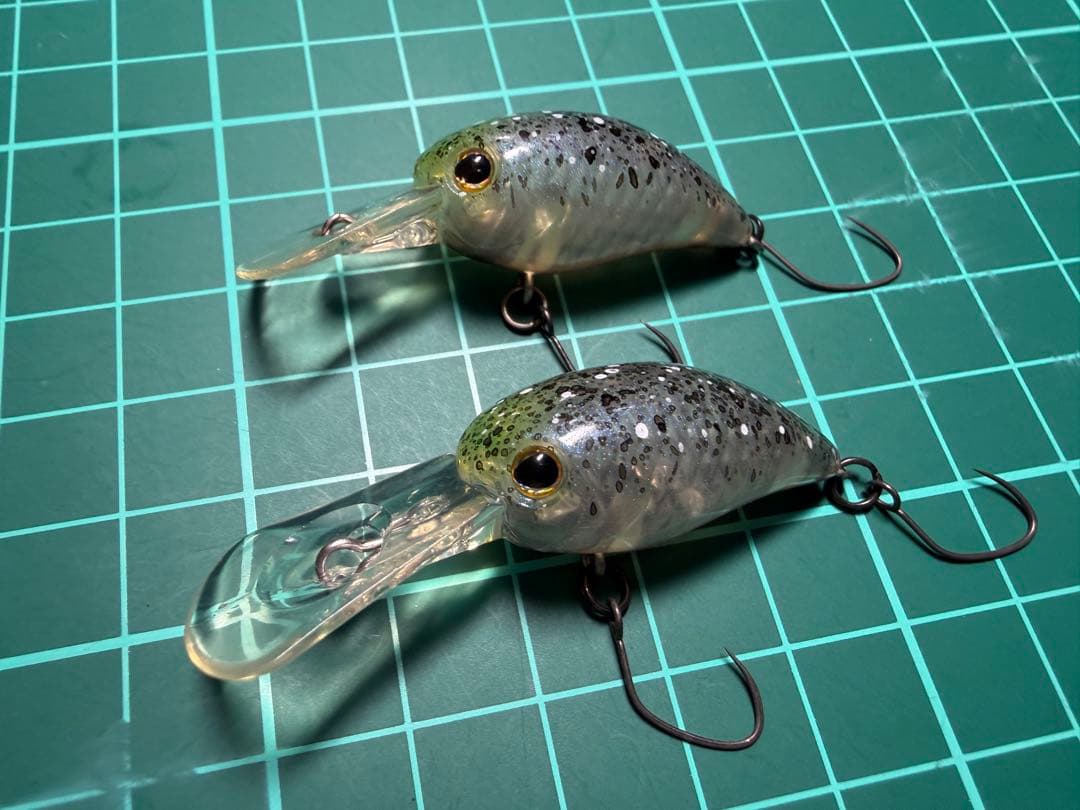 ティモン　パニクラDR MR オオツカオリカラ　恵比寿　激レア