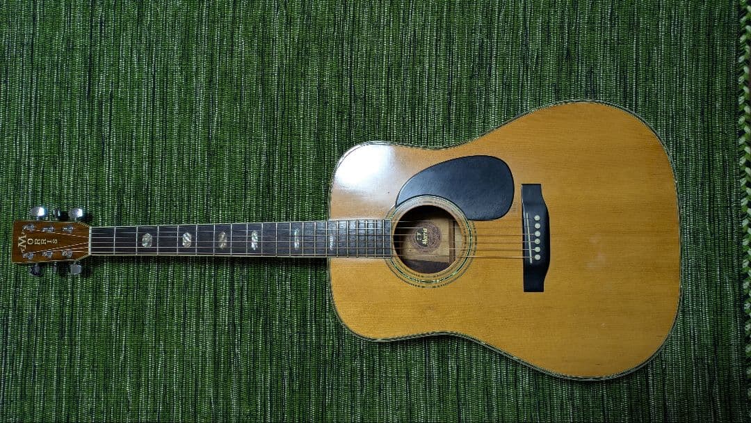 ギター TF MORRIS W50