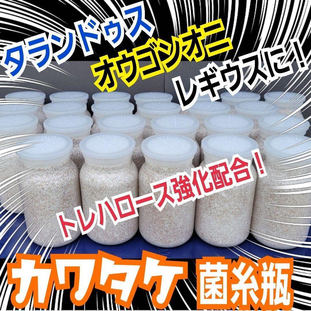極上！カワラタケ菌糸瓶【8本】特殊アミノ酸強化配合！クワガタ幼虫全般に使えます！