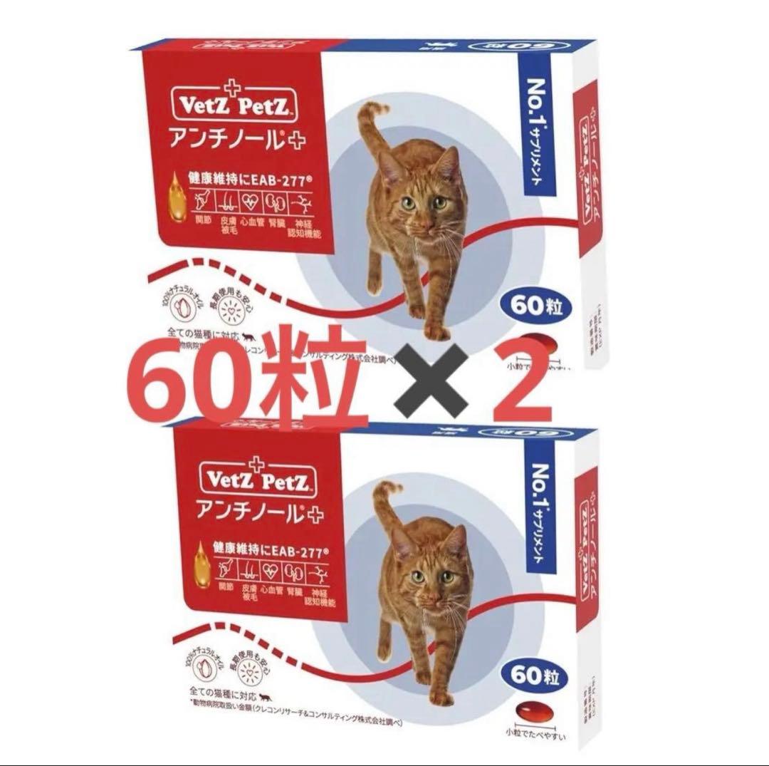 アンチノール プラス　60粒 2箱セット