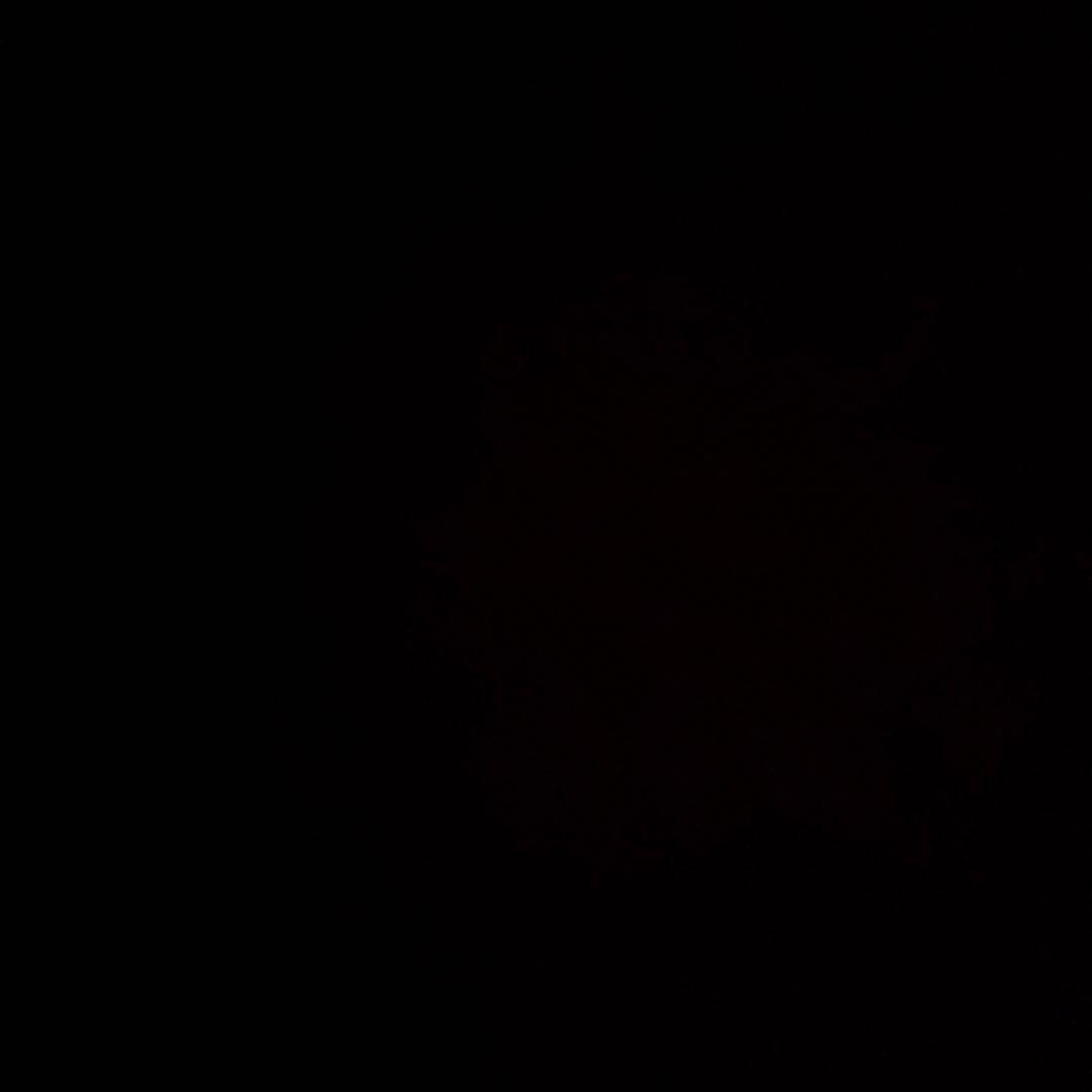 ぐっち