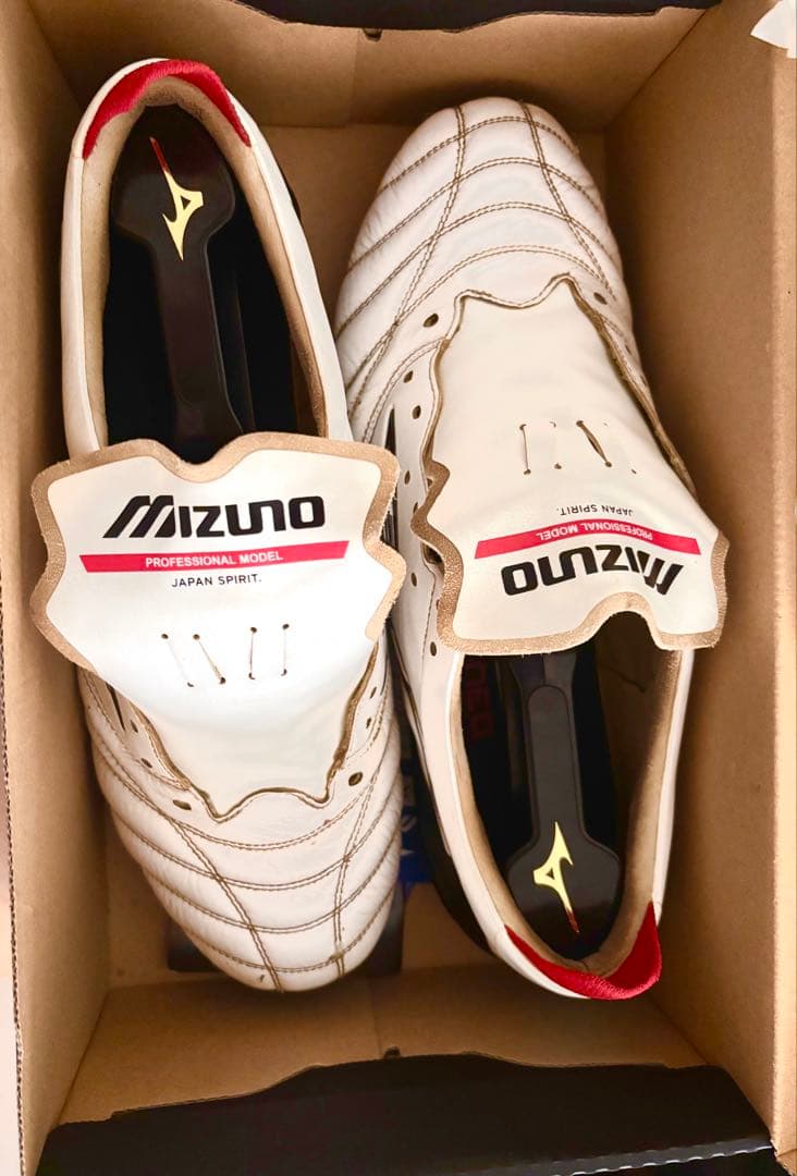 早い者勝ち！モレリアネオ4 中古　付属品なし