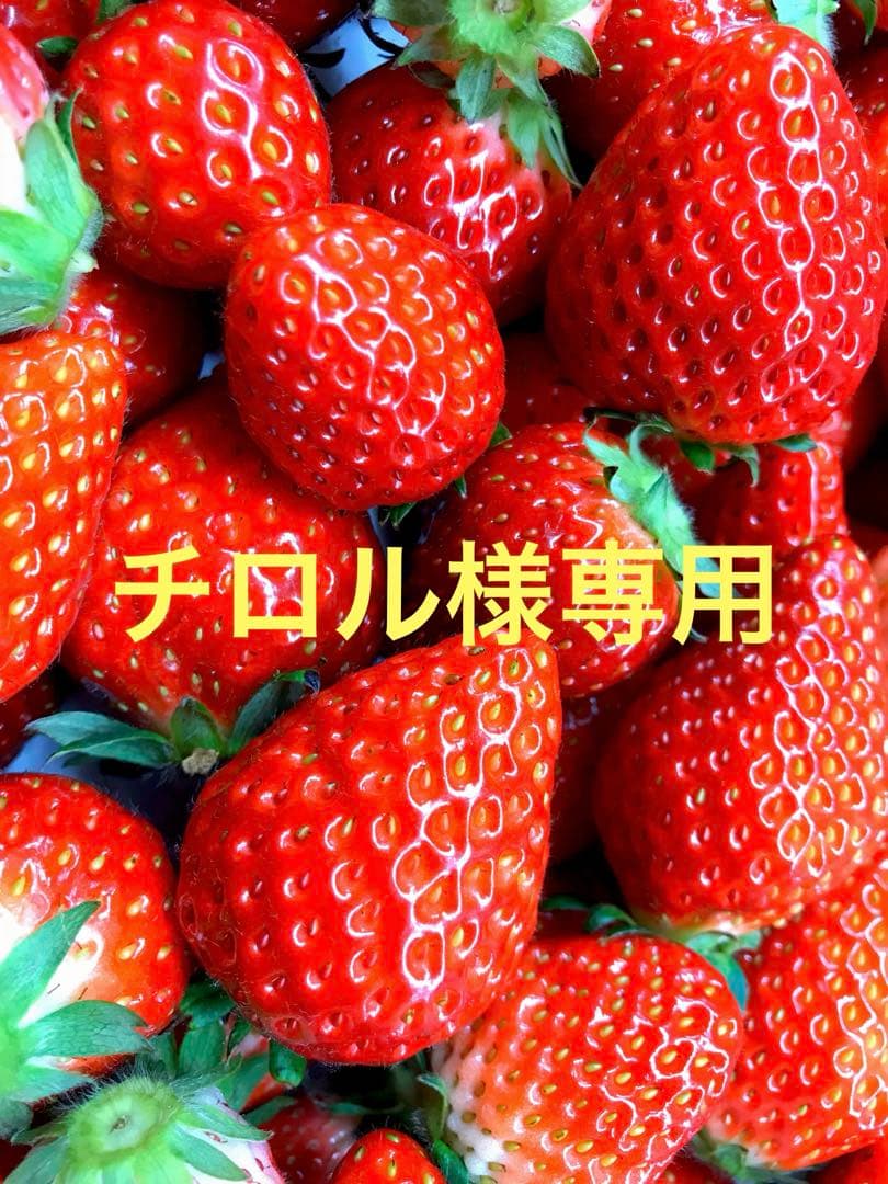 チロル