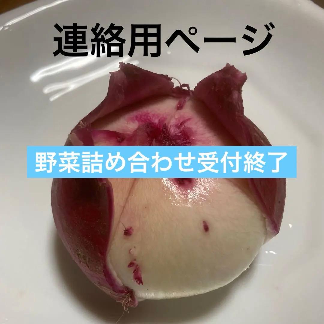 連絡用ページ