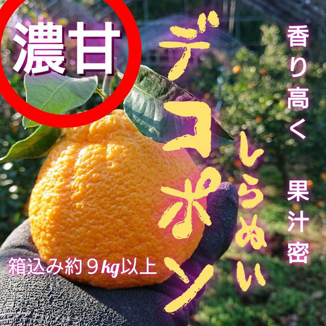 超お得な 18kg 熊本産不知火デコポン 味恋みかん 超人気(^o^)
