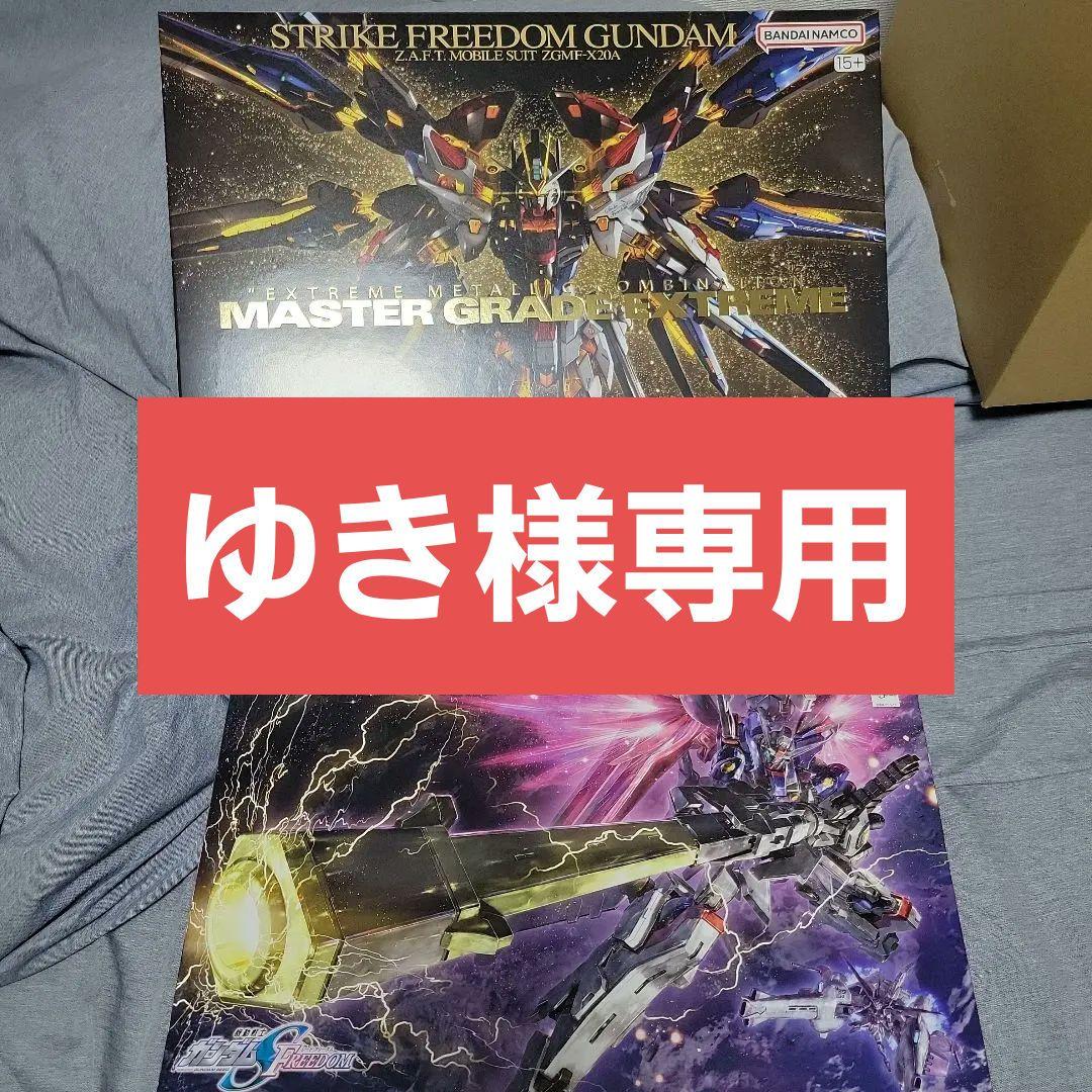 BANDAI MGEXストライクフリーダム+HGゼウスデスティニー