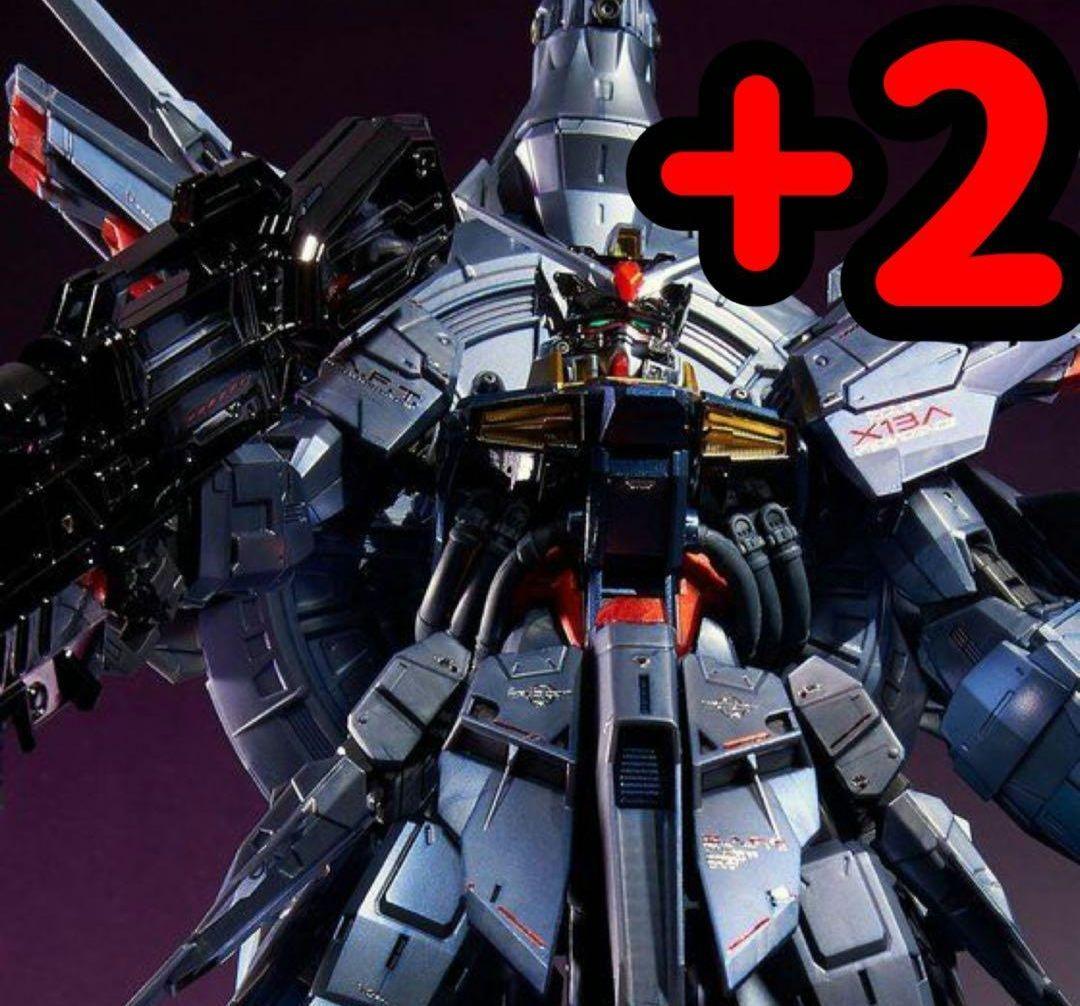 新品　ＭＧ 1/100 プロヴィデンスガンダム [スペシャルコーティング]　2箱