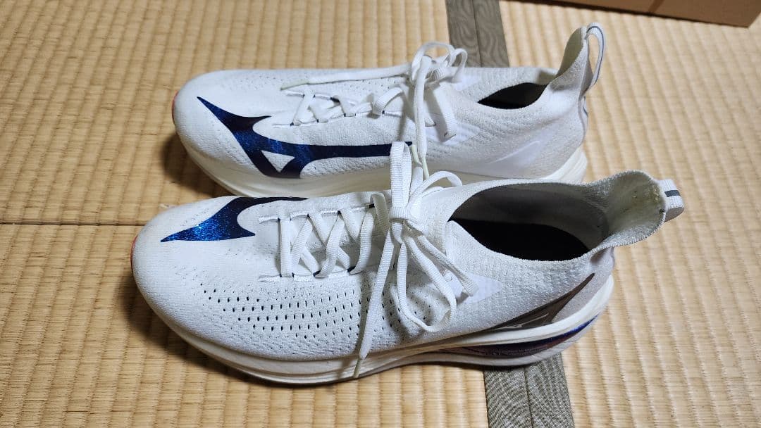 MIZUNO NEO VISTA 28.0cm ランニングシューズ　ホワイト
