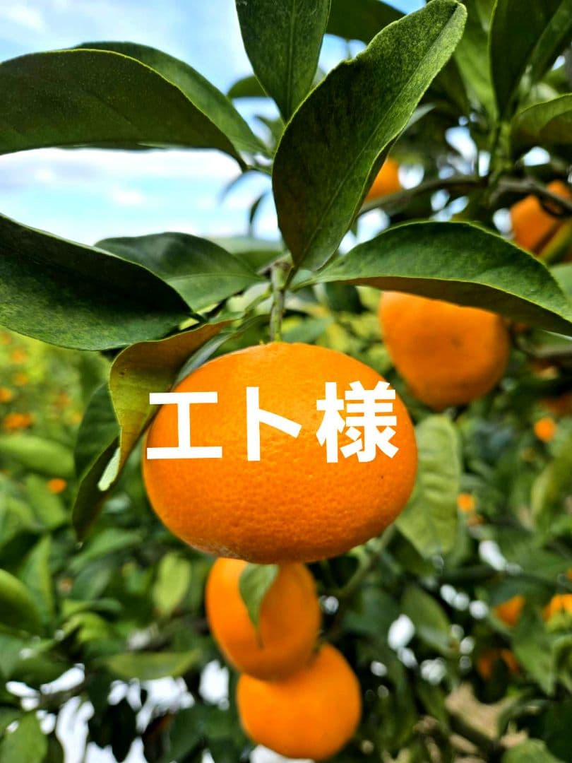エト様