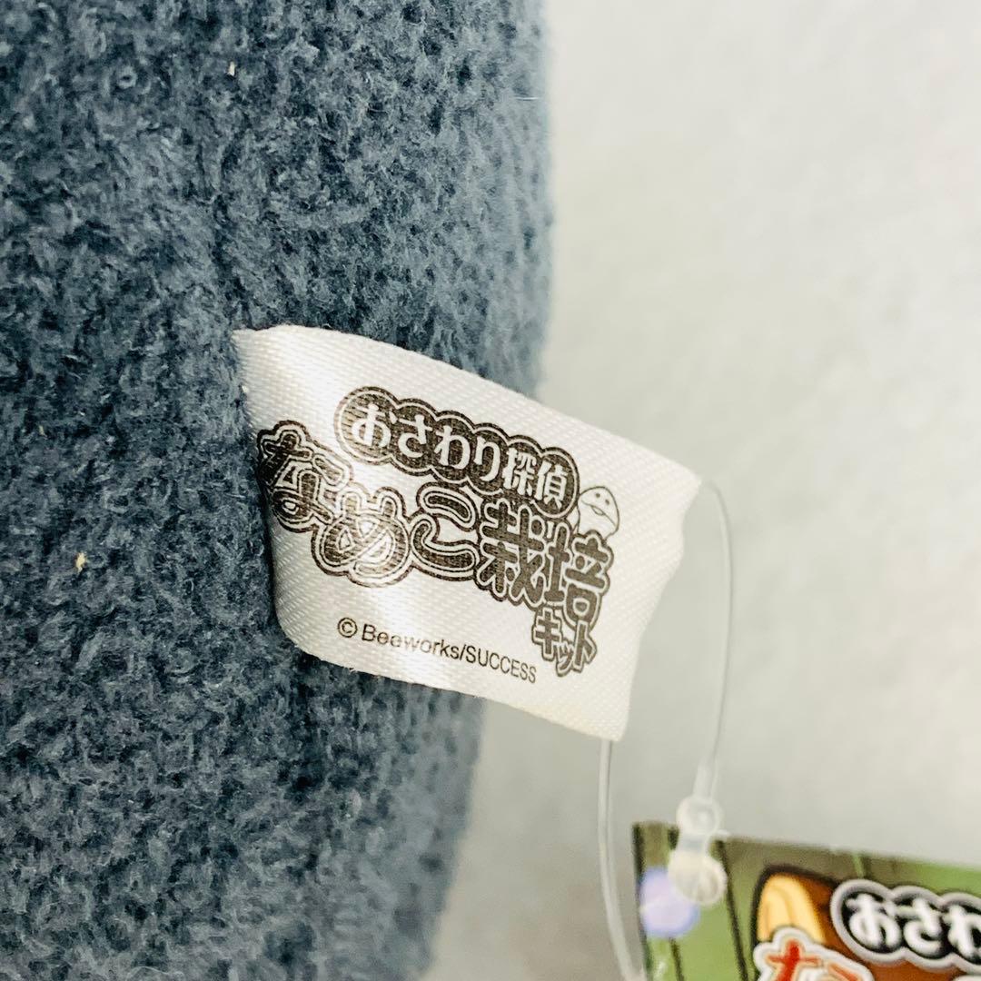 レア　おさわり探偵　なめこ栽培キット　BIGぬいぐるみ　黒　浮き輪　ブラック