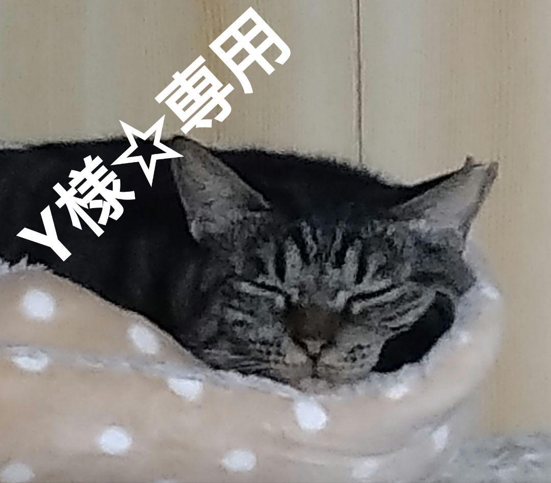 Y様☆専用