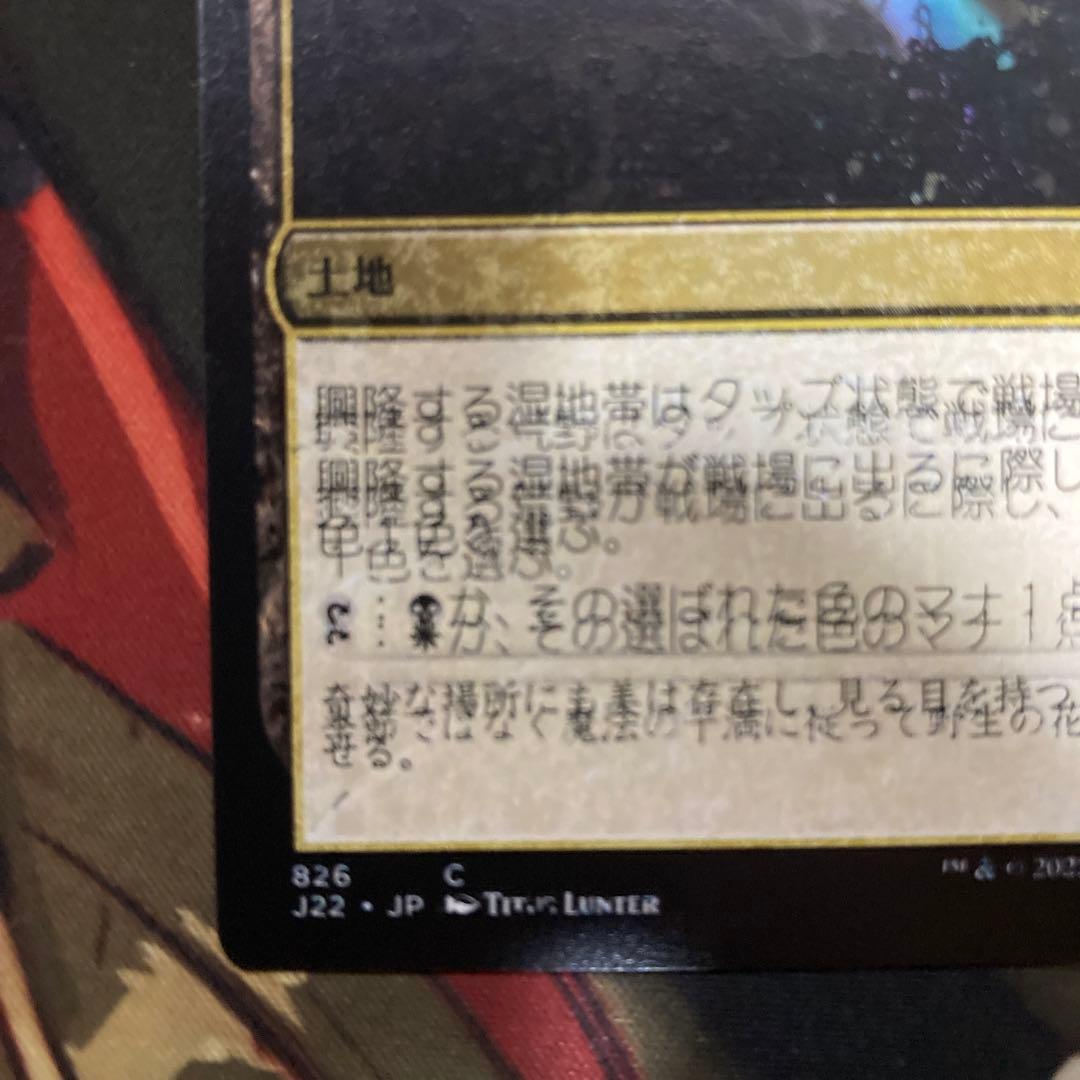 MTG ジャンプスタート2022 エラーカード 二重印刷　興隆する湿地帯
