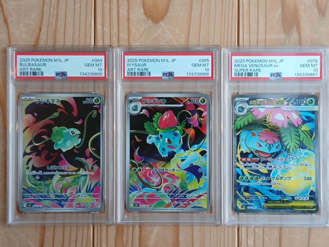 PSA10 3連番 メガフシギバナex SR フシギソウ フシギダネ
