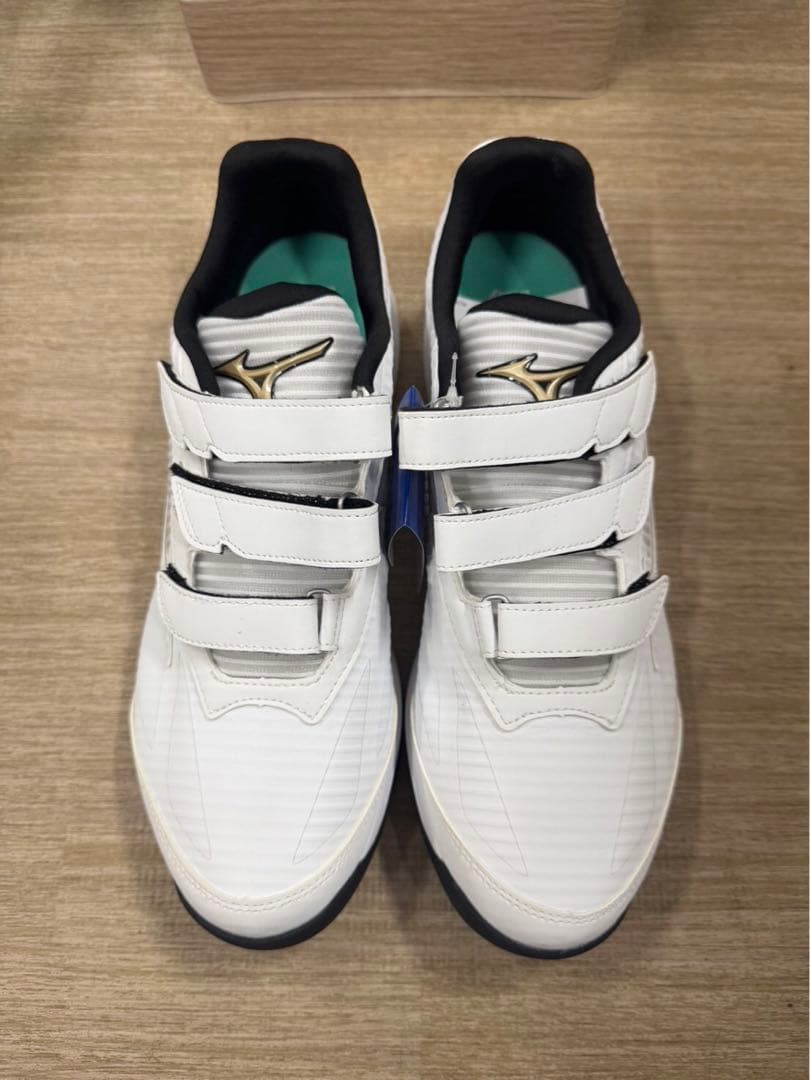 ランニングシューズ MIZUNO ミズノ 品番　11GT221001 28.5