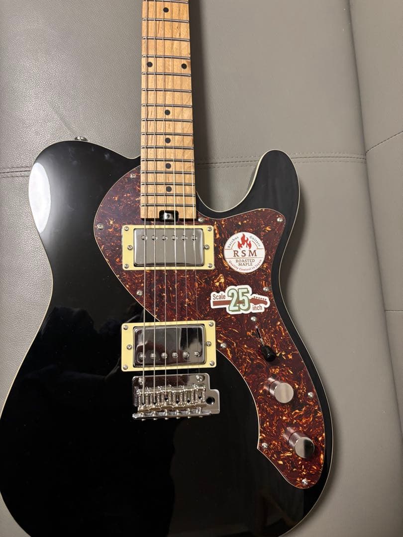 【値下げ中】Bacchus BSH-STD25 RSM/M