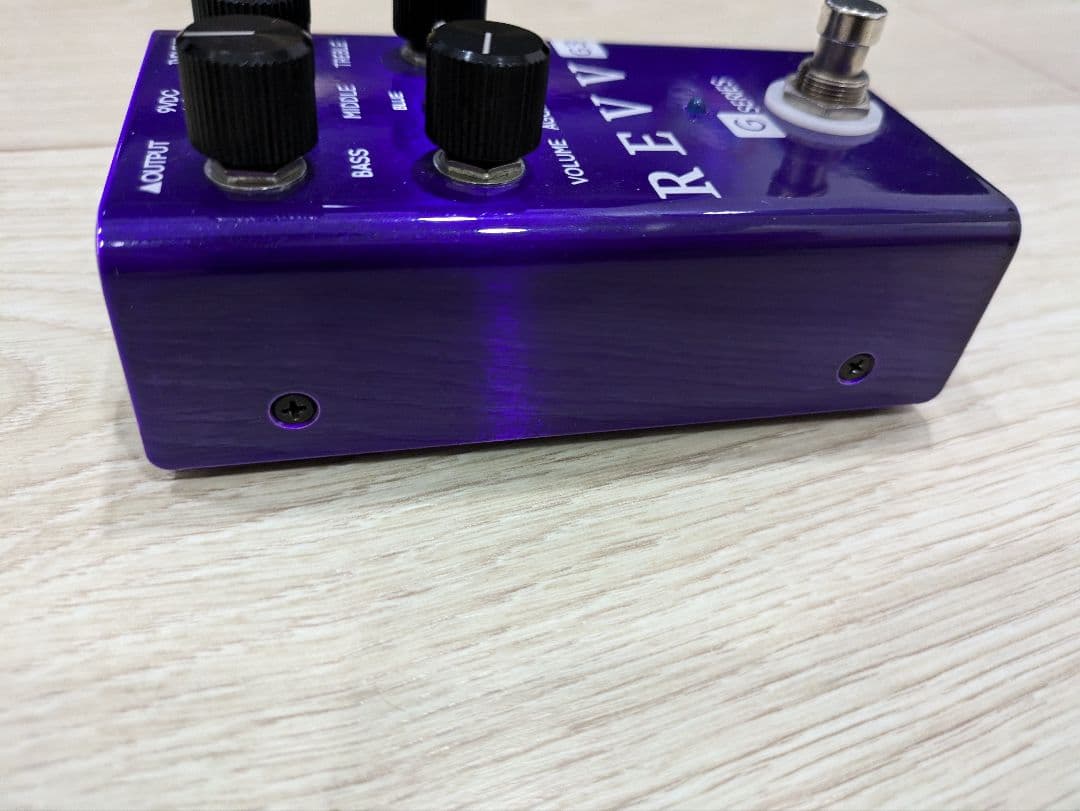 ゴーヤー58　REVV G3