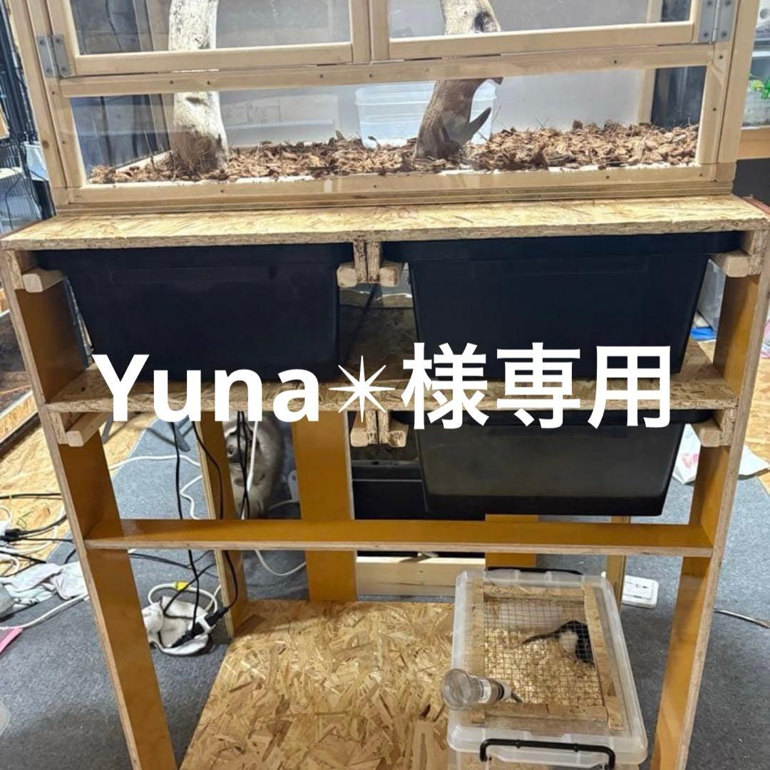 Yuna✴︎