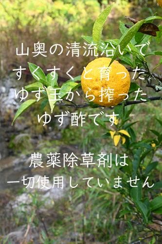 柚のや★送料込★高知県産ゆず酢900ml 6本 旬しぼり★農薬不使用★柚子酢
