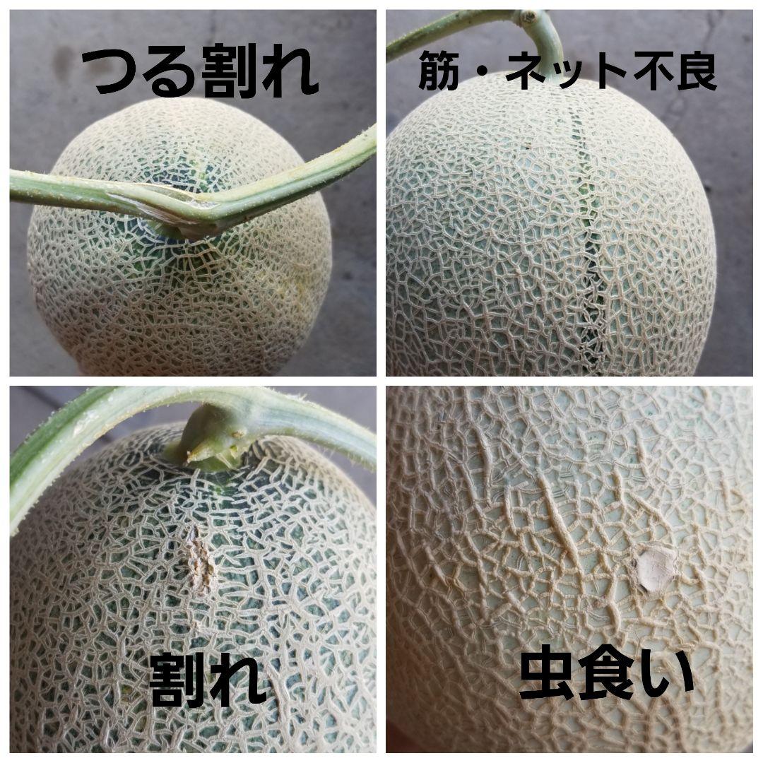 まめ　メロン②