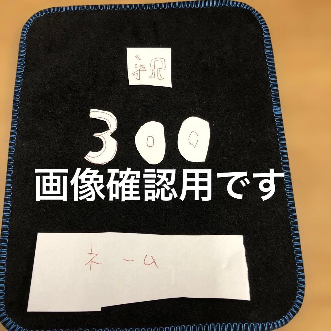 画像確認用です！購入しないでね