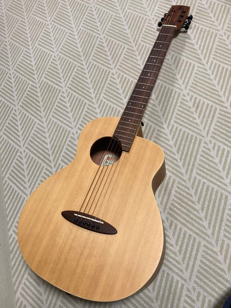 aNueNue Bird M1 アコースティックギター