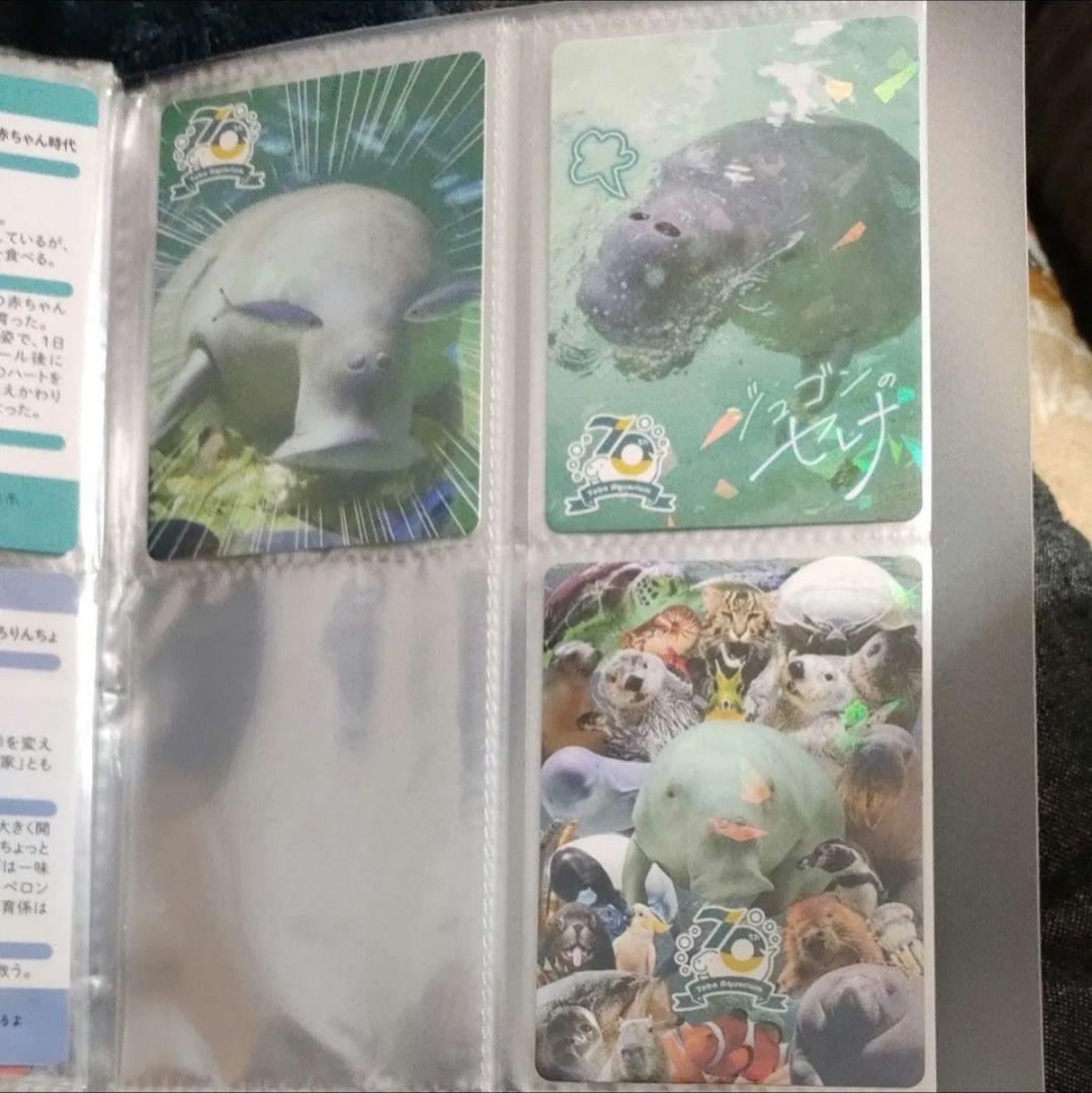 鳥羽水族館　コレクションカード　コンプリート
