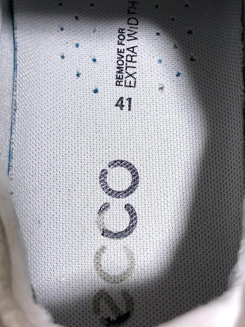 【フォロー割】中古 エコーゴルフ ECCO BIOM C4 バイオム 26cm