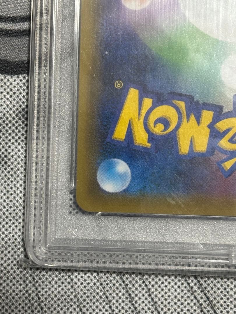 エリカのおもてなし PSA10