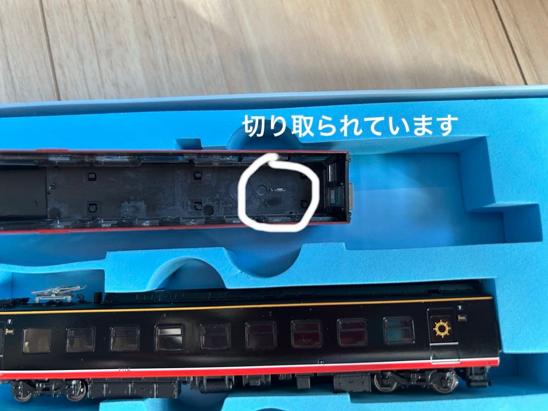 A6275 伊豆急2100系 リゾート21 黒船電車 新ロゴマーク