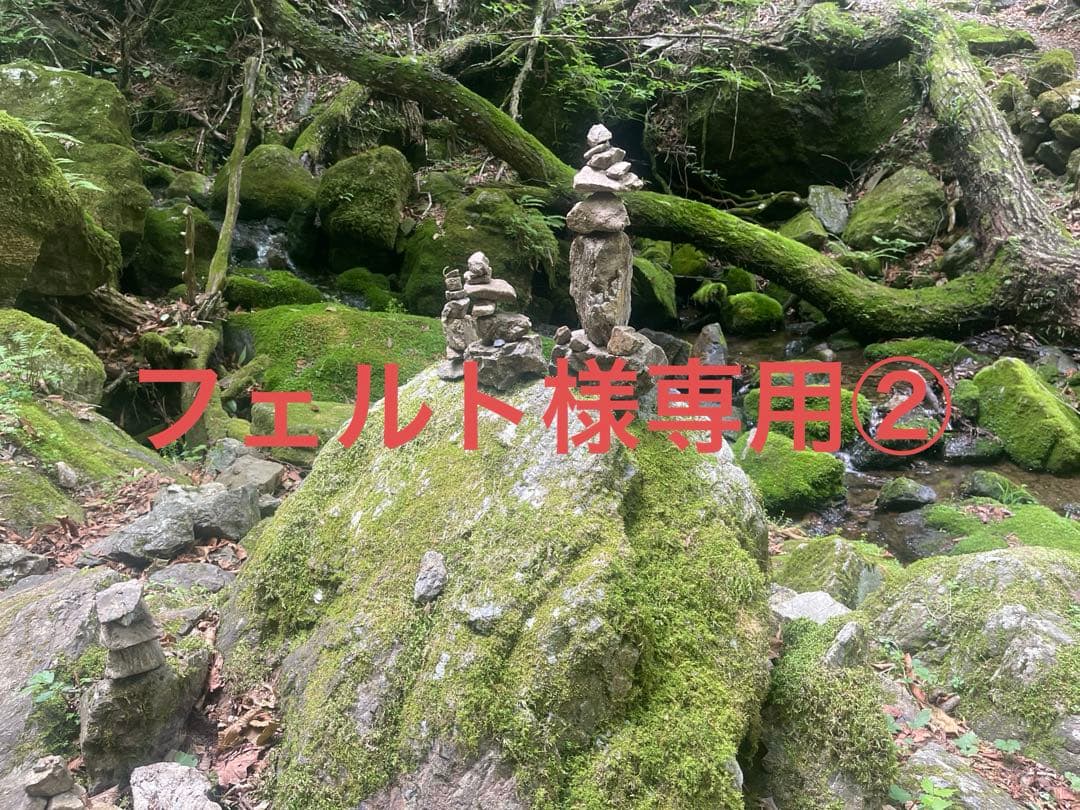 フェルト②